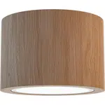 XXXL STROPNÍ BODOVÉ SVÍTIDLO, 12/8 cm