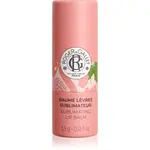 Roger & Gallet Fleur de Figuier Sublimating Lip Balm balzám na rty 3.5 g
