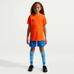 Nike DRI-FIT PARK VIII JR Dětský fotbalový dres, oranžová, velikost