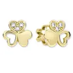 Soliter Zlaté srdíčkové náušnice s krystaly 239 001 00938