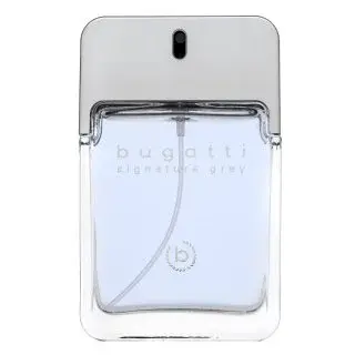 Bugatti Signature Grey toaletní voda pro muže 100 ml