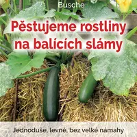 Kniha: Pěstujeme rostliny na balících slámy od Busche Benjamin