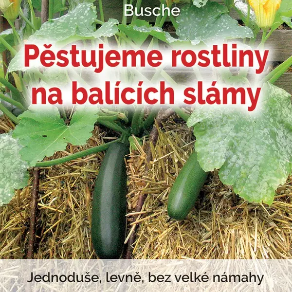 Kniha: Pěstujeme rostliny na balících slámy od Busche Benjamin