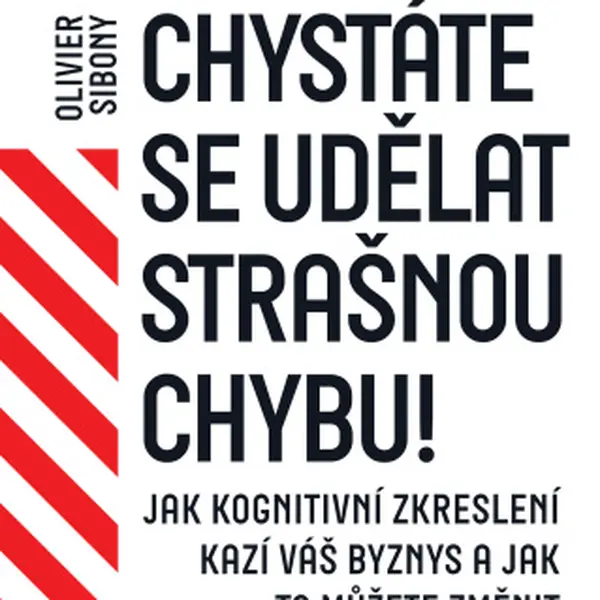 Chystáte se udělat strašnou chybu! - Olivier Sibony - e-kniha