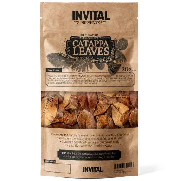 INVITAL CatappaLeaves 20g listy mandlovníku