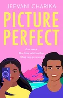 Picture Perfect - Jeevani Charika
