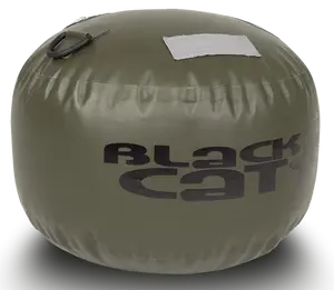 Black cat bójka s buoy