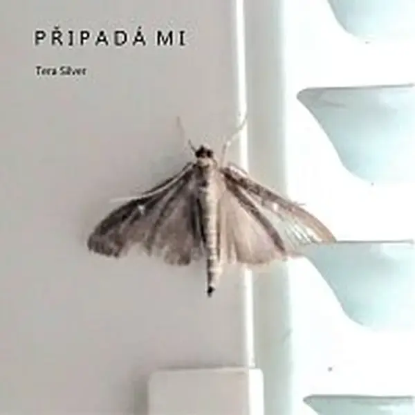Tera Silver – Připadá mi