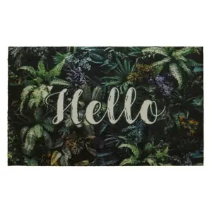 Rohožka 50x80 Hello 18 01060102