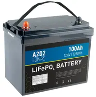 A2d2 batéria lifepo4 12,8v 100ah m8 (size of 75ah) rept cells