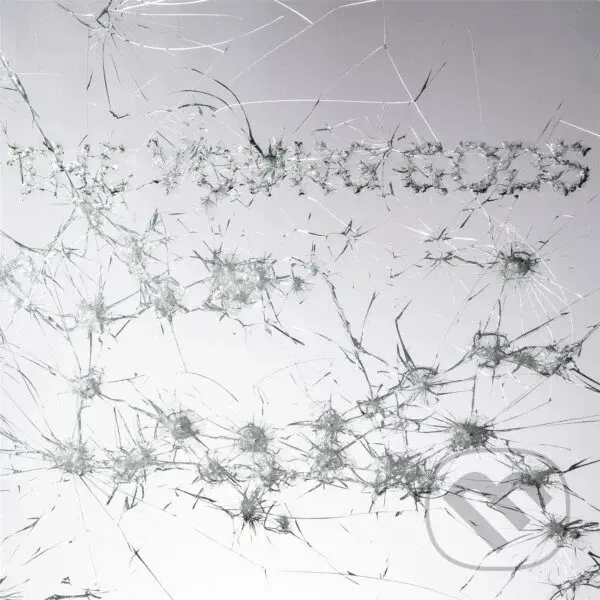 Young Gods:  Appear Disappear LP