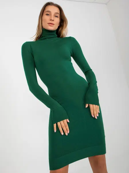 Dress-NM-SK-NG-2309.17X-dark green