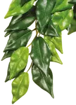 Rostlina EXO TERRA Ficus velká 70 cm