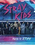 Stray Kids - Katy Sprinkel