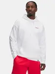 Pánská mikina Under Armour Pjt Rck Icon Fleece Hdy - Pánské