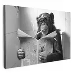 MuchoWow OBRAZ NA PLÁTNĚ Opice - WC - Noviny - Černobílé - Humor 120x80 cm