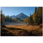 Wallarena FOTOTAPETA Hory Les Hnědá 350x250 cm