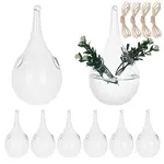 Glass Hanging Hydroponic Vases