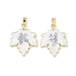 Brass Enamel Pendants