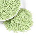 FGB Baking Paint Glass Seed Beads