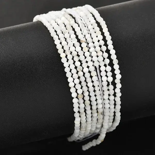 Natural Freshwater Shell Beads Strands