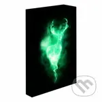 Harry Potter obraz LED svietiaci 30x40 cm - Patron