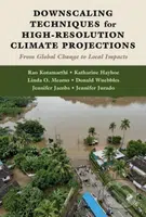 Downscaling Techniques for High-Resolution Climate Projections - kniha z kategorie Ekologie