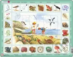 Puzzle MAXI - Život u moře - puzzle z kategorie Maxi dieliky