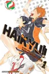 Haikyu!! 1 - Haruichi Furudate - kniha z kategorie Komiksy
