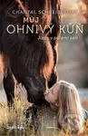 Můj ohnivý kůň – Jízda v polární záři - Chantal Schreiber - kniha z kategorie Pro děti