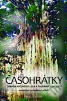 Časohrátky (Záhada krčského lesa a tajemných bytostí) - kniha z kategorie Pro děti