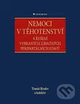 Nemoci v těhotenství (a řešení vybraných závažných peripartálních stavů) - kniha z kategorie Gynekologie