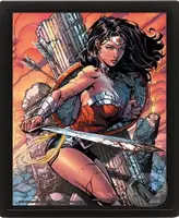 Obraz 3D Wonder Woman Battle