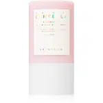 SKIN1004 Madagascar Centella Poremizing Quick Clay Stick Mask čistiaca ílová pleťová maska v tyčinke 27 g