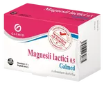 GALMED Magnesii lactici 0,5 g 100 tabliet
