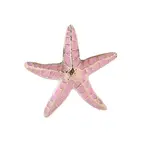 Starfish Enamel Pin