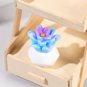 Resin Succulent Pot Model