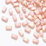 FGB 2-Hole Baking Paint Glass Seed Beads