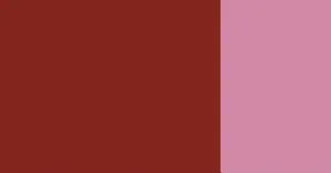 Kvašová barva Schmincke 20ml – 678 burnt Sienna