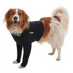 BUSTER Body&Přední nohy ochranný obleček pro psa, Velikost: XS