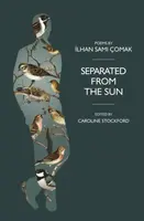 Separated from the Sun - Ilhan Comak