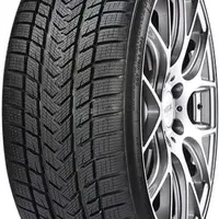 GRIPMAX 255/45 R 20 105V PRO_WINTER TL XL M+S 3PMSF