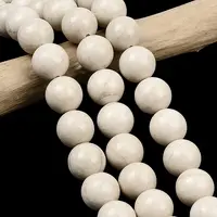 Natural Petrified Wood Beads Strands