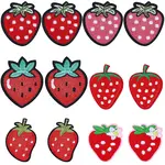12Pcs 6 Styles Cloth Embroidery Cloth Iron on/Sew on Patches
