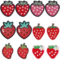 12Pcs 6 Styles Cloth Embroidery Cloth Iron on/Sew on Patches