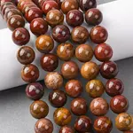 Natural Alashan Agate Beads Strands