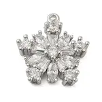 Brass Micro Pave Cubic Zirconia Pendatns