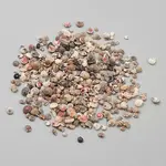 Mini Natural Mixed Shell Beads
