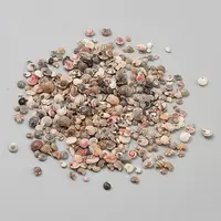 Mini Natural Mixed Shell Beads
