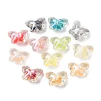 Transparent Resin & Natural Shell Beads